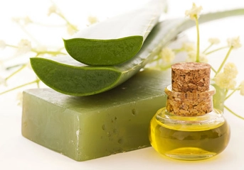 Cilde İyi Gelen Bitkiler Nelerdir?